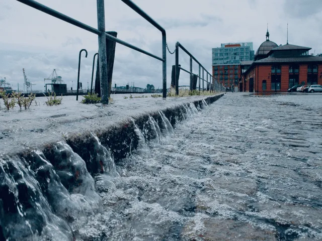 Wasser